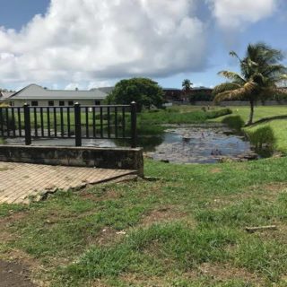 Land in Samaan Grove, Tobago