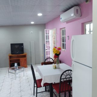 Large 1 Bedroom Residential Rental at Chaguanas