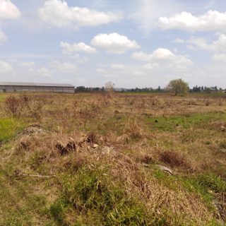 PRIME Commercial Land at Charlieville, Chaguanas