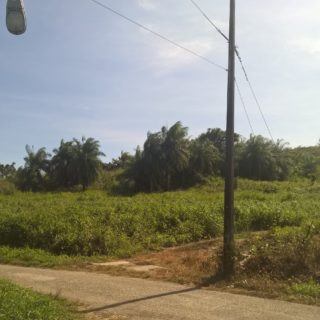 Residential Land at Chatham