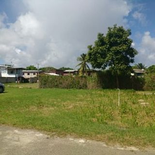 Flat Land For SaleTobago