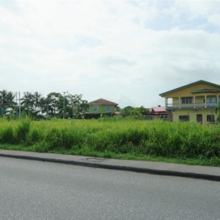 LAND FOR SALE ENDEAVOR ROAD, CHAGUANAS