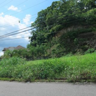 SANTA CRUZ FLAT LAND in early LA SARGESSE Road $1.2MTTD ono