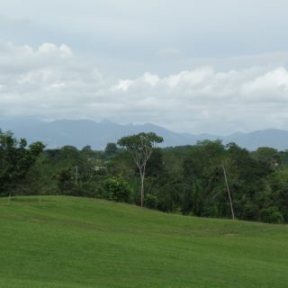 La Cuesa Road, Freeport