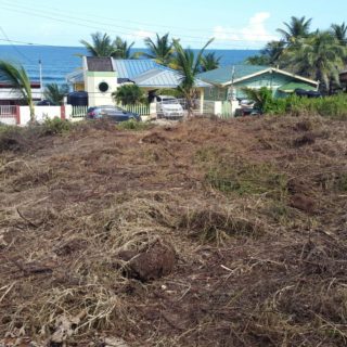 Mayaro Land For Sale