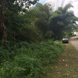 Parcel of land for sale in Diego Martin