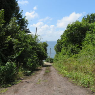 Land in Toco, With a view of the ocean