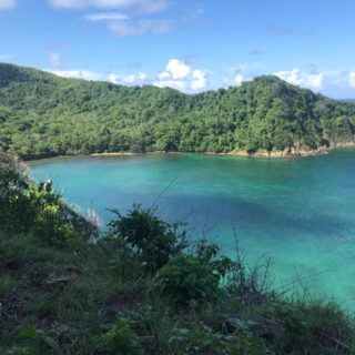 200 Acres on Englishman’s Bay, Tobago.