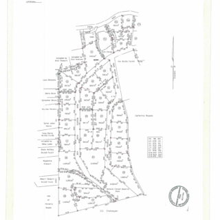 SANTA CRUZ: Lot 21 Graceland Heights (Gated Development) REDUCED