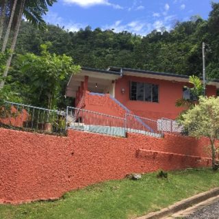 Alyce Glen – Great opportunity to get into one of the most sorted neighborhoods in west Trinidad. This home gives you the opportunity to move in as is or renovate to suit your own taste. The views are amazing! 4-bedroom, 3 toilet and bath, pool and parking for 6.