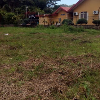 Land for sale – Santa Cruz