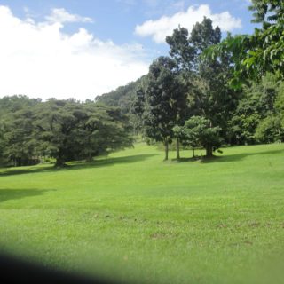 Ortinola Estate, Maracas Valley