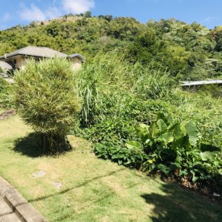 Perseverance Maraval, LAND FOR SALE