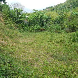 1 Lot of land at La Rive Maraval for sale.