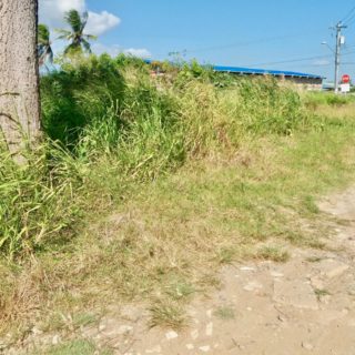 Freeman Road, St. Augustine (Highway side)