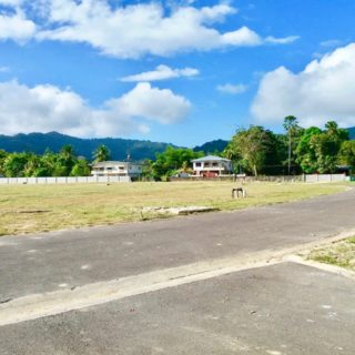 Santa Cruz – Lots of Land for Sale