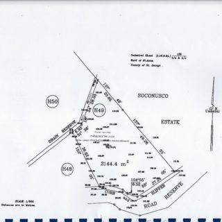 SANTA CRUZ, SADDLE GROVE LAND FOR SALE!