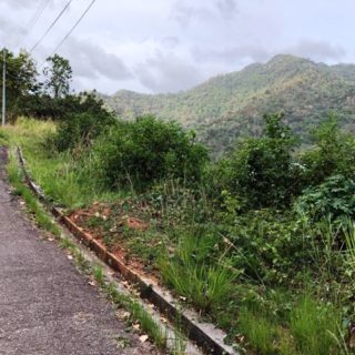 LAND FOR SALE MARACAS ST. JOSEPH