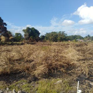 RESIDENTIAL LAND FOR SALE AT CUNUPIA